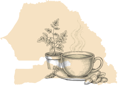 project logo 